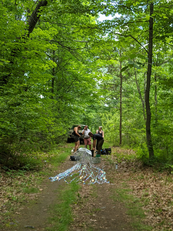 A group of people
On a path in the green woods
Sculpture on the ground
