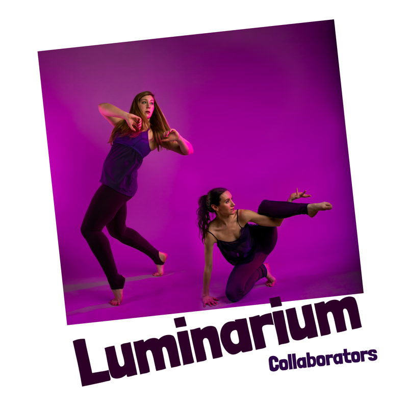 Luminarium Dance Company, Monkeyhouse collaborators and guest artists