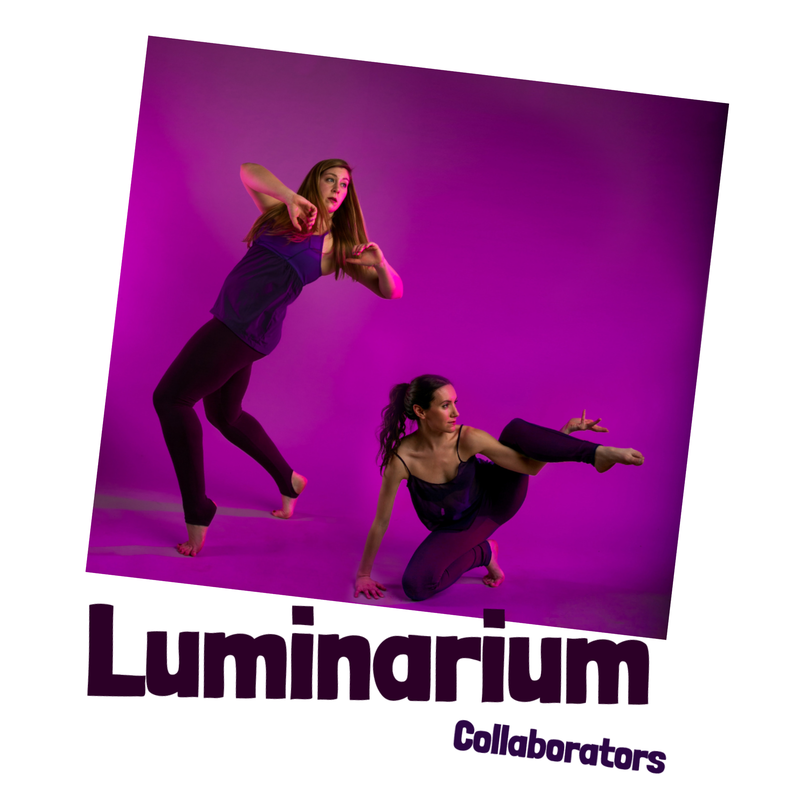 Luminarium Dance Company, Monkeyhouse collaborators and guest artists