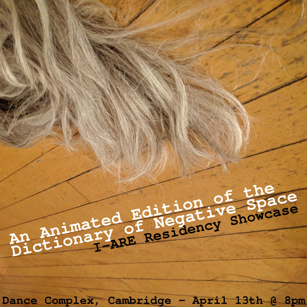 An image of Karen's grey hair on a wooden floor. Text:An Animated Edition of the Dictionary of Negative Space I_ARE Residency Showcase. Dance Complex, Cambridge- April 13th @8pm